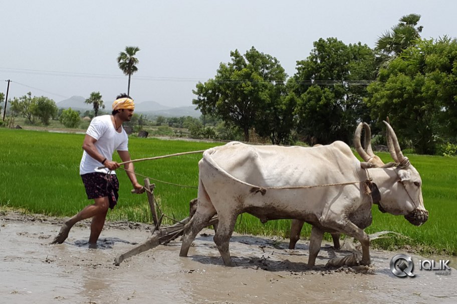 Krishnamma Kalipindi Iddarini